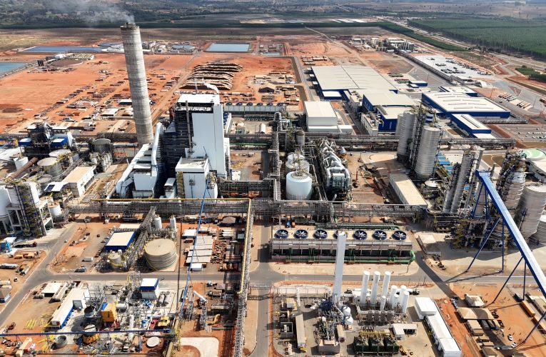 ANDRITZ Starts up Large Eucalyptus Pulp Mill for Suzano in Brazil