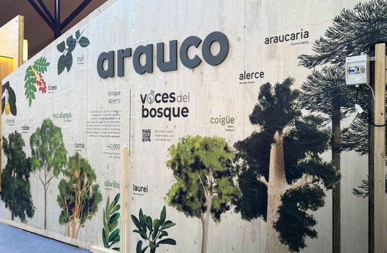 Arauco to Build New Pulp Mill in Inocência, Brazil